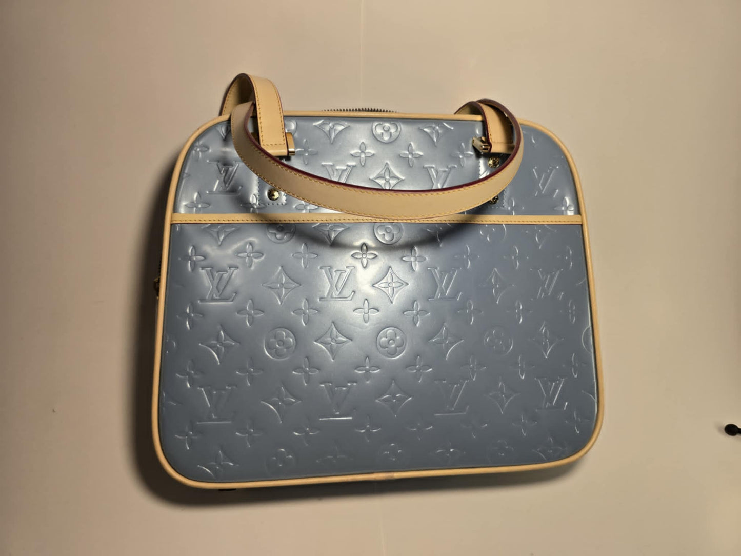 Louis Vuitton [Pre-Owned] GENUINE Leather